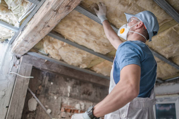 Best Insulation Installation Services in Hazen, AR