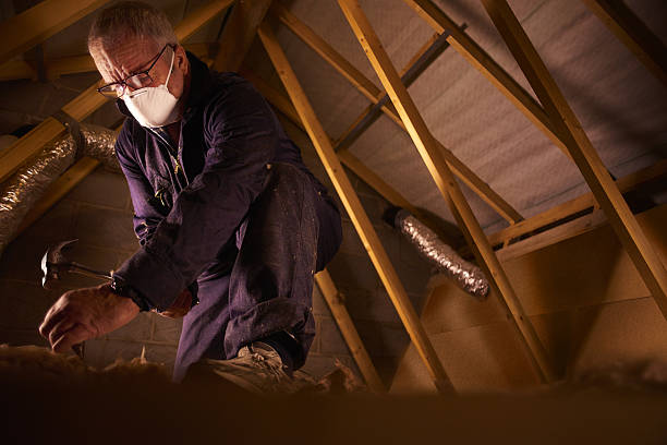 Professional Insulation Contractor in AR